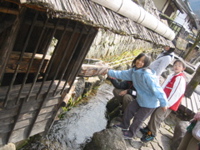 IMG_9820.JPG