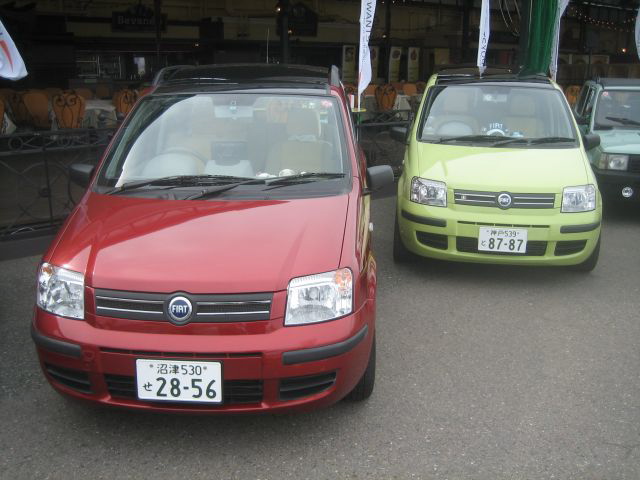 Pandapoli-035.JPG