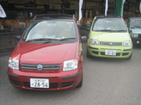 Pandapoli-041.JPG